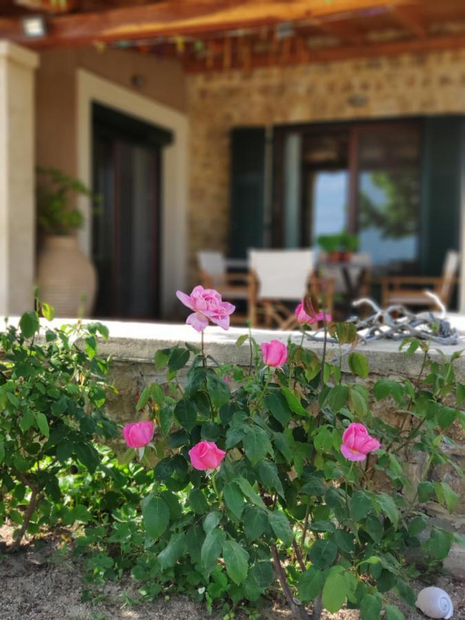 Olive Tree Cottage 2 Néa Péramos Zewnętrze zdjęcie